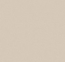 Керамогранит Rainbow Керамогранит 60x60x10 rw 01 60x60 Непол.Рект. (Керамический гранит) фото 1 | FLOORDEALER